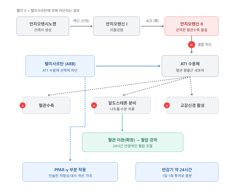 텔미사르탄(Telmisartan) / 미카르디스.고혈압.ARB.본태성고혈압.