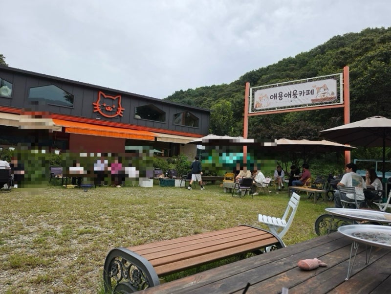 파주 애룡호수｜애용애용카페(커피먹고가세) 다녀온 후기