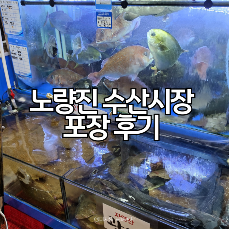 노량진 수산시장 9월 제철 생새우 광어회 시세·가격정보·포장후기