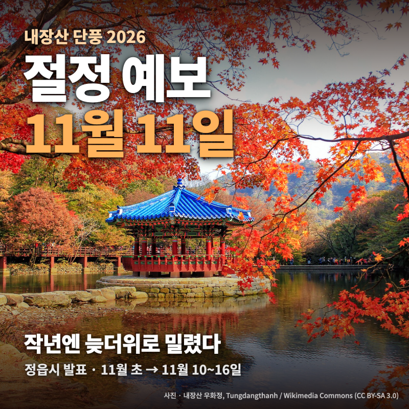 내장산 단풍 2026 총정리 — 절정 예보 11월 11일, 작년엔 늦더위로 밀린 절정·셔틀버스·케이....