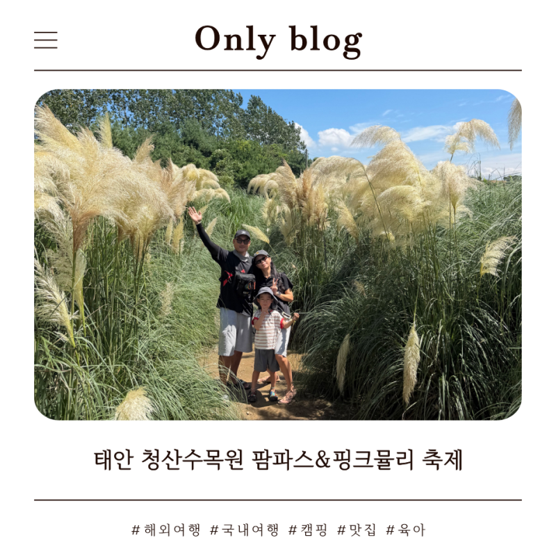 태안 가볼만한곳 청산수목원 팜파스&핑크뮬리 가득한 곳 ft.알파카 먹이주기