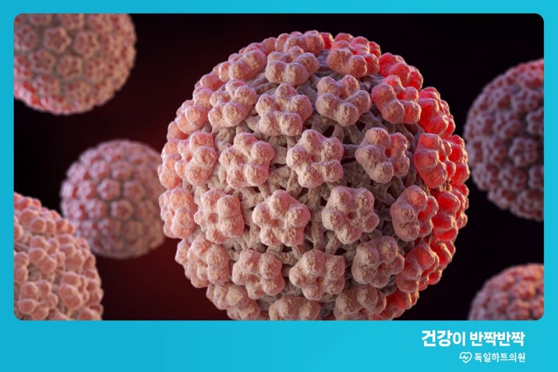 5대암검진(위암 대장암 간암 자궁경부암 유방암) 종류와 대상 총정리