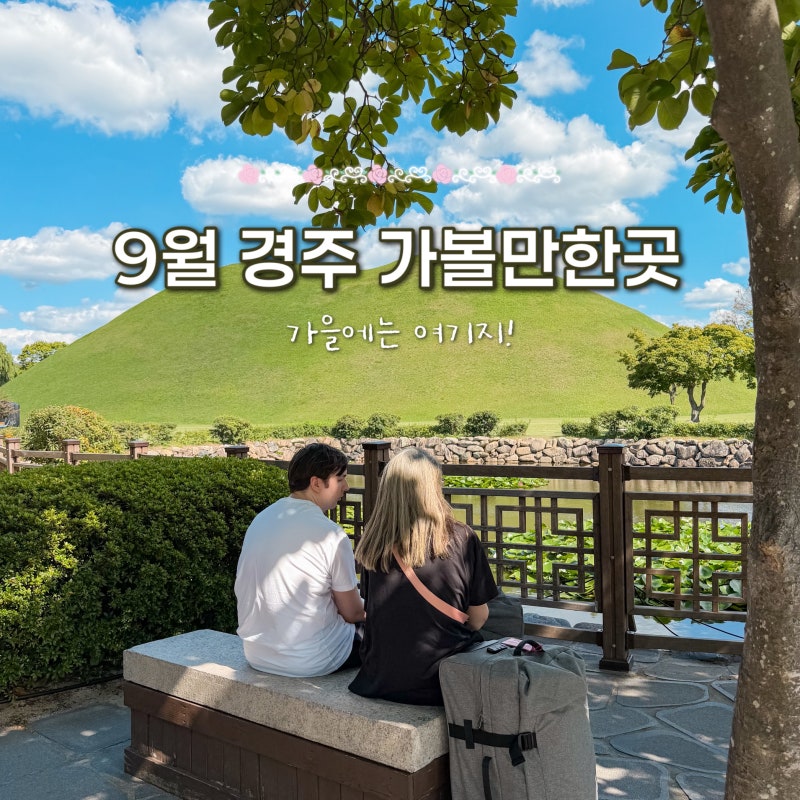 경주 가볼만한곳 대릉원 천마총 역사 여행 놀거리