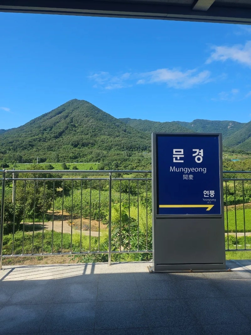 9-10월 국내여행지 추천, 문경 가볼만한 곳 봉명산 출렁다리 왕복시간 관람료