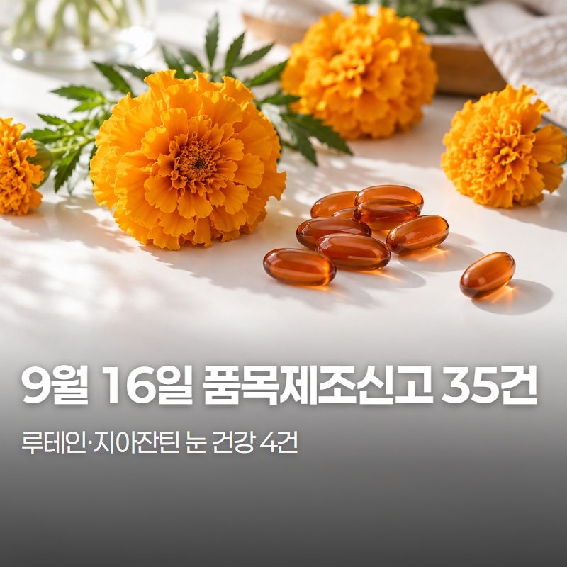 2026년 9월 16일 건강기능식품 품목제조신고 정리 | 루테인지아잔틴·호박씨추출물·포스파티....