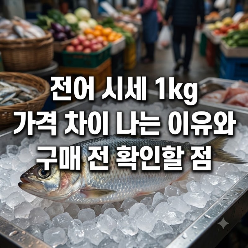 전어 시세 1kg 가격 차이 나는 이유와 구매 전 확인할 점