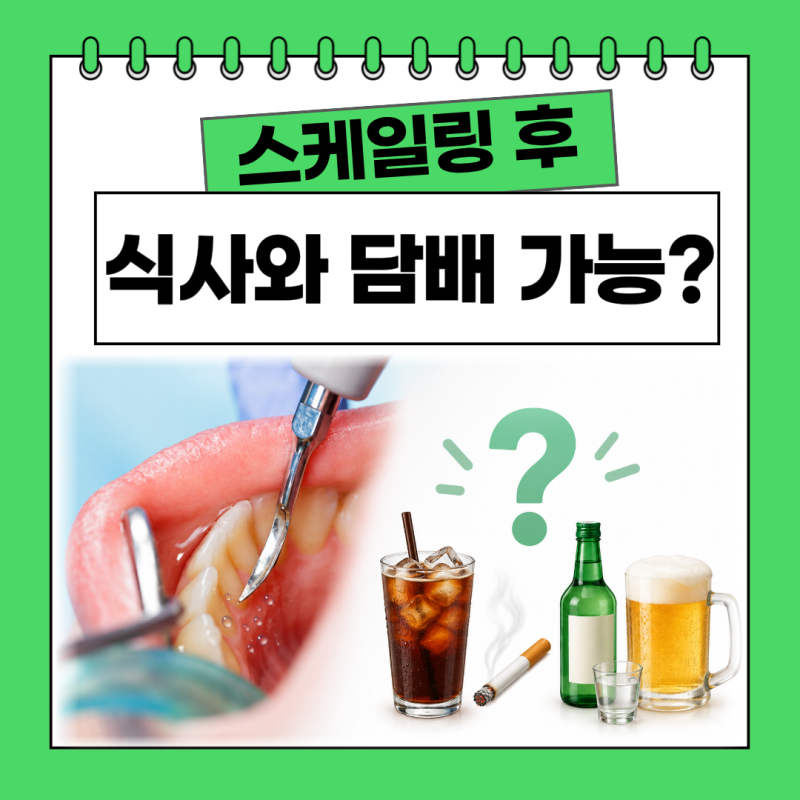 스케일링 후 식사 바로 해도 될까요? 담배·커피·술은 언제부터 괜찮을까요?