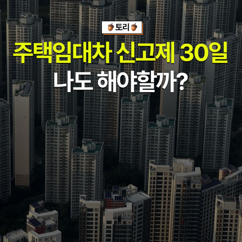 2026 주택임대차 신고제 전월세 신고 대상 신청 과태료 총정리