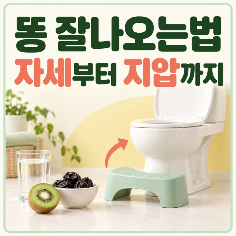 똥 잘나오는법, 똥 안나올때 자세와 변비 마사지 혈자리 지압