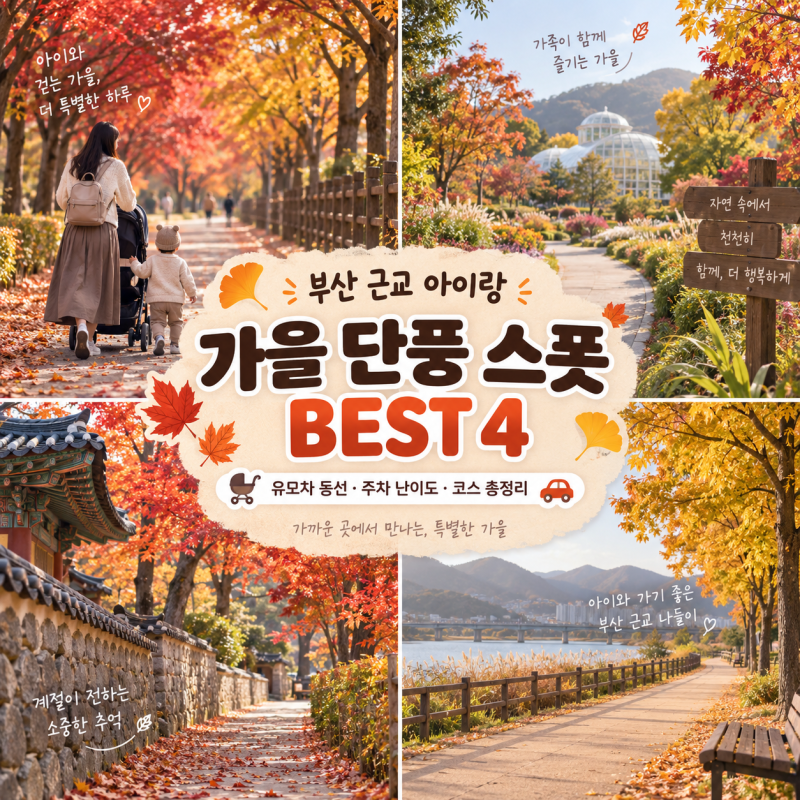 [부산 근교 아이랑] 가을 단풍 스폿 BEST 4 (유모차 동선, 주차 난이도, 코스 총정리)