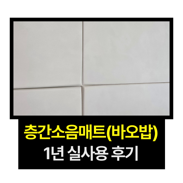 바오밥매트 1년 사용후기, 층간소음 진짜 줄었을까? 얼룩·눌림·곰팡이까지