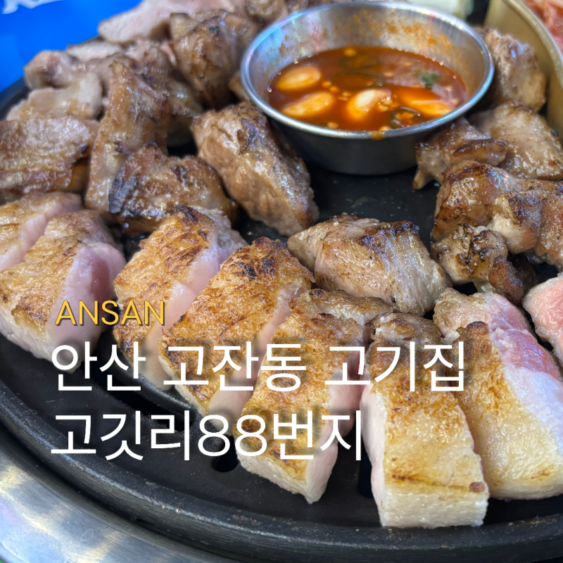 안산 고잔동 맛집 고기집 가성비 좋은 야장 삼겹살 추천 고깃리 88번지 모듬A세트 후기
