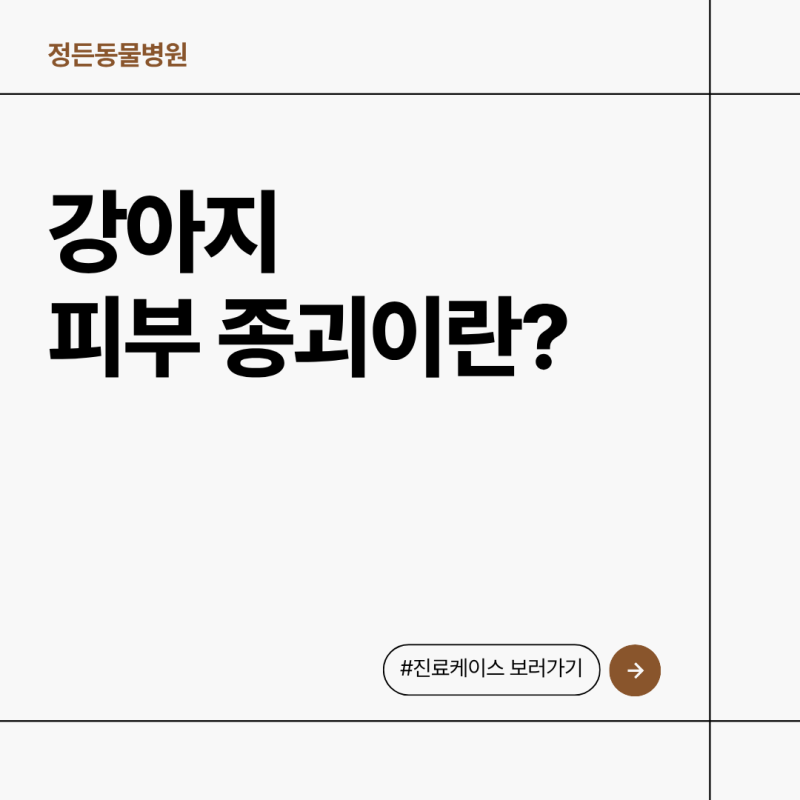 강아지 몸에 혹이 만져져요,강아지 피부종괴의 원인과 증상_DMC역 동물병원