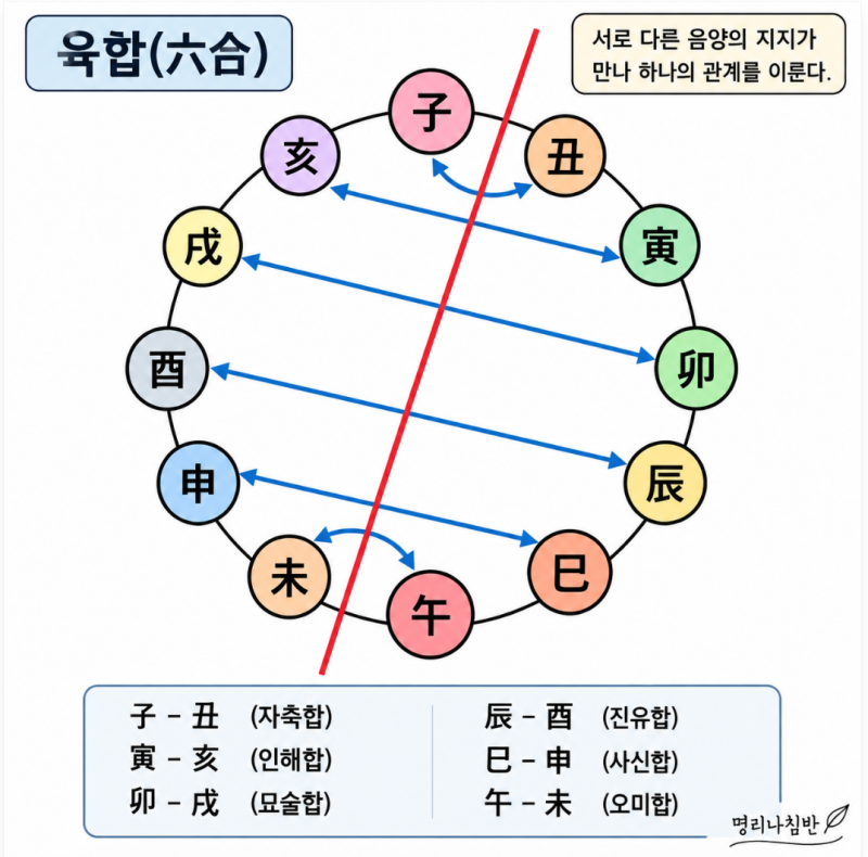 육합은 왜 이런 지지끼리 짝을 이루는가?