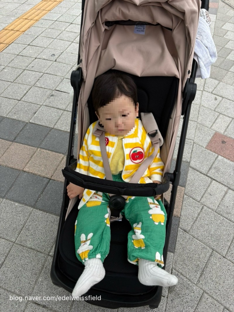 남자아기 남대문시장 가을옷 쇼핑 후기