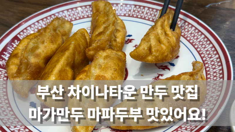 부산 차이나타운 만두맛집 마가만두 의외로 마파두부 맛집인데요!