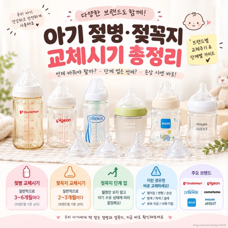 아기 젖병 젖꼭지 교체시기｜단계별 가이드 총정리