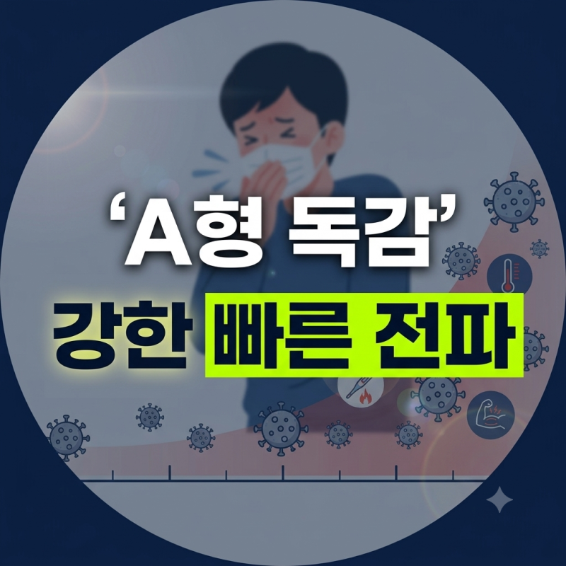 A형 독감 원인 증상 전염 경로 잠복기 정리 (+ 권장 격리기간)
