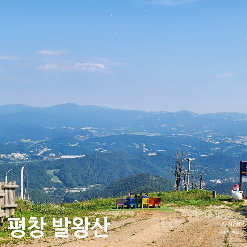 강원도 평창 발왕산 케이블카 천년주목숲길 스카이워크