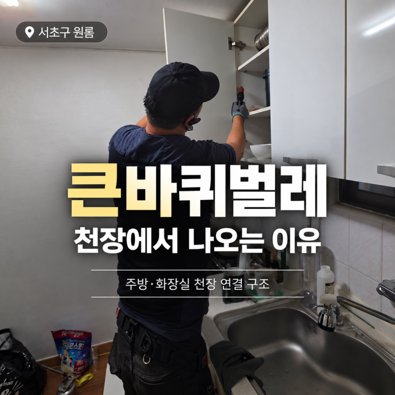 서초구 원룸 큰바퀴벌레,서초구 원룸 2차 방역 현장