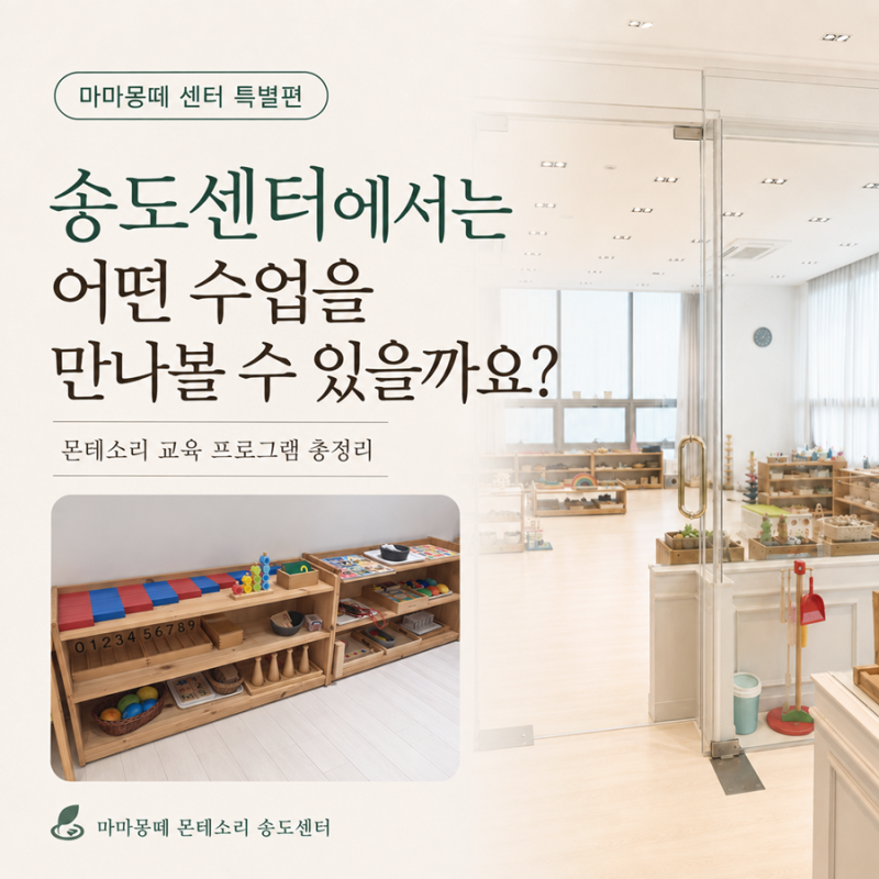 몬테소리 교육 프로그램, 우리 아이는 어떤 수업을 받을까? 연령별 과정 총정리