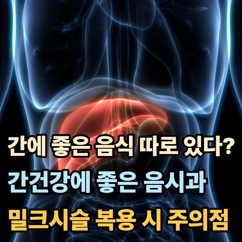 "간에 좋은 음식은 따로 있다?"...간건강에 좋은 음식과 밀크씨슬 복용시 주의점