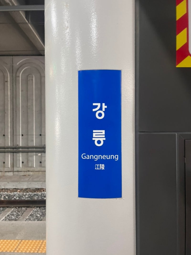강릉 경포해변 감성 술집 추천! 로바다야끼 모루 여행으로 가볼 만한 곳
