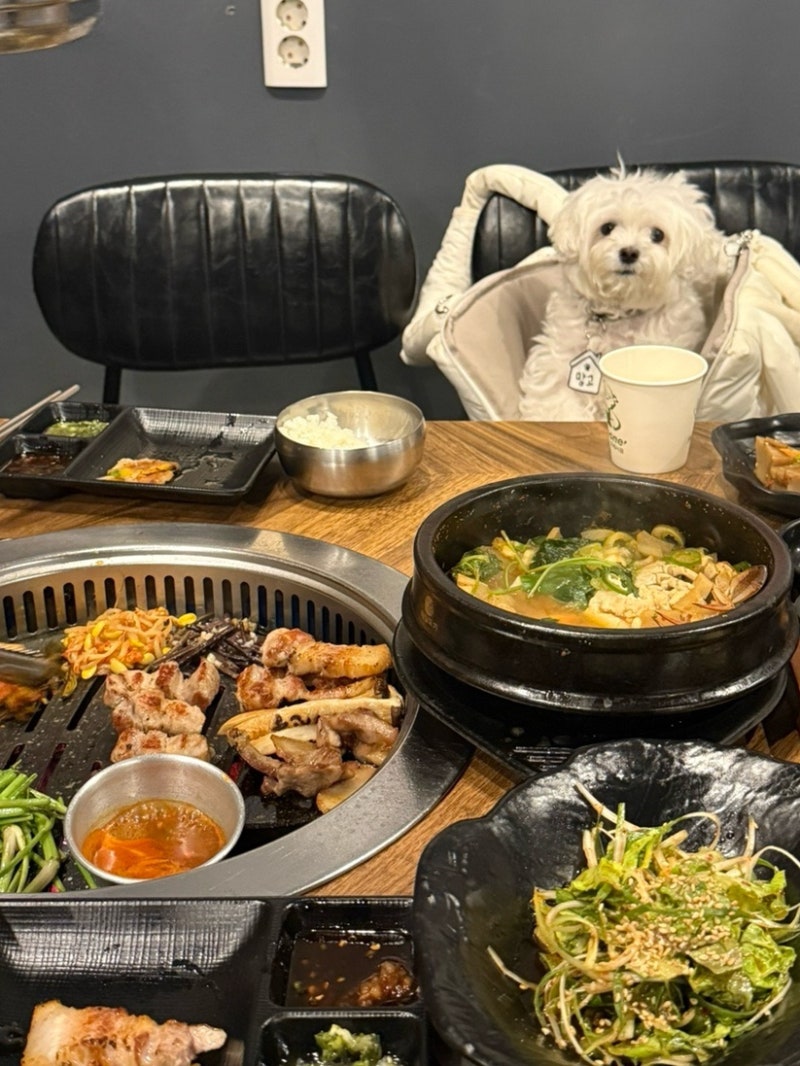 친절하고 맛있는 부산 서면구워주는고기집 고기의진수 주차지원 • 애견동반 가능해요