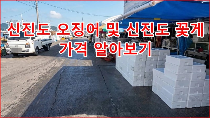 신진도 오징어 시세, 신진도 꽃게 가격 현황! 싱싱한 수산물 고르는법 및 자가용 방문 팁 9월1....