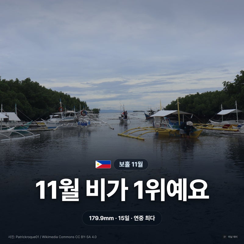보홀 11월 날씨 강수량 1위 아미한 호핑투어 준비물 총정리