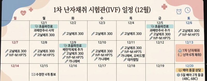 30대 후반 시험관 1차 성공 후기 4 : 시험관 비용과 과정 (난임지원금 신청방법)