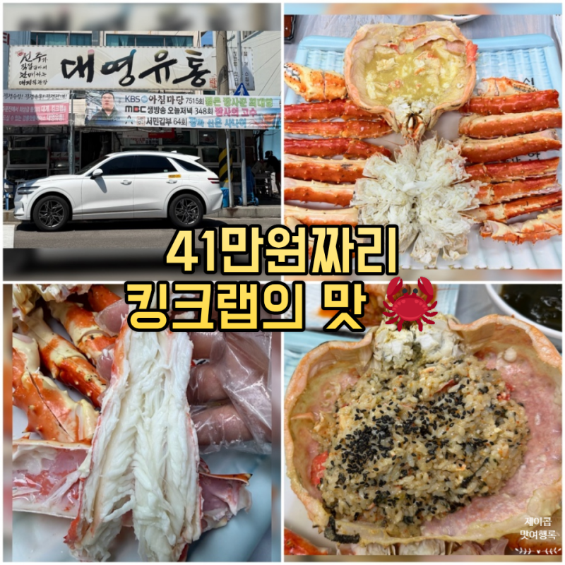 강릉 킹크랩 맛집 대영유통｜41만원 값어치 할까?