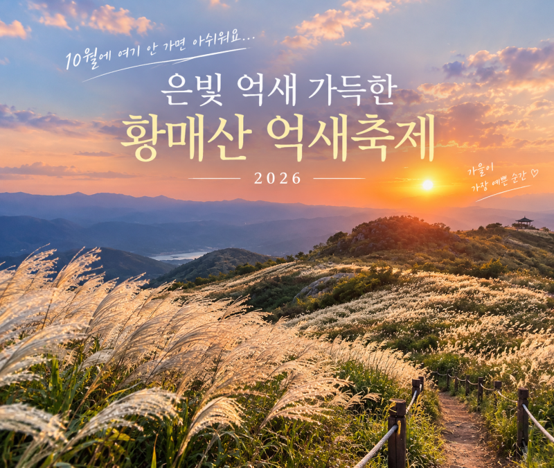 사진 보고 저장해뒀어요… 10월 황매산 억새축제 2026