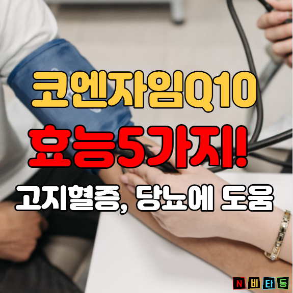 코엔자임 Q10 효능 5가지! "고지혈증 당뇨 혈압에 도움"