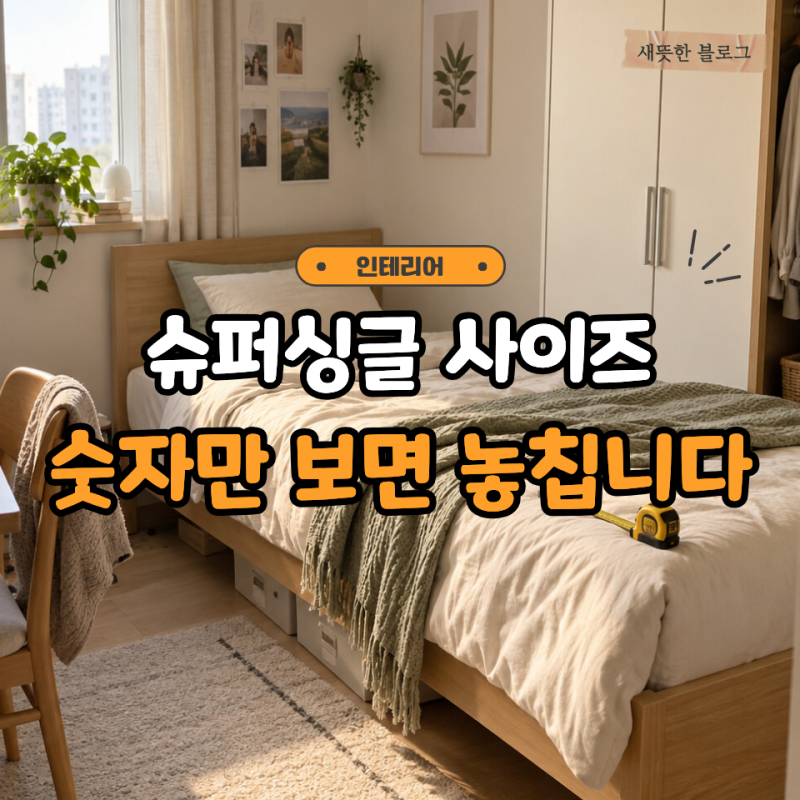 “싱글이랑 별 차이 없겠지?” 슈퍼싱글 사이즈 직접 비교하면 다릅니다