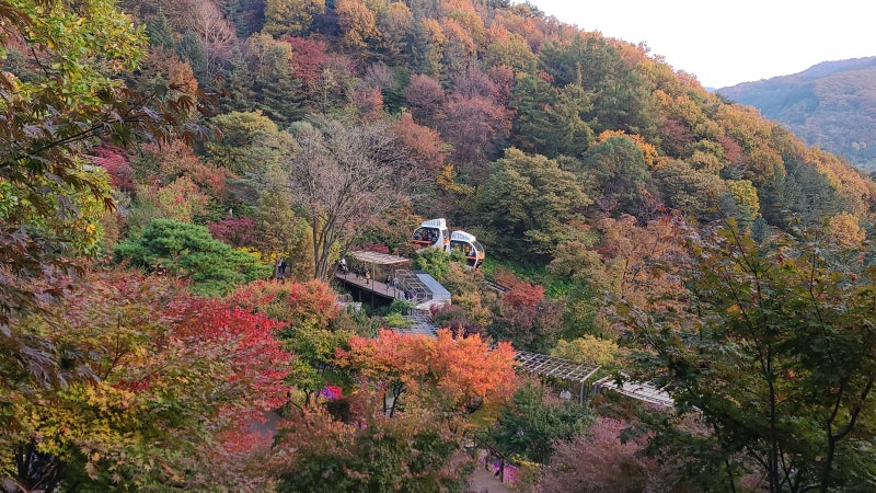 곤지암 화담숲 단풍 솔직 후기, 9월 10월 무조건 가야하는 이유