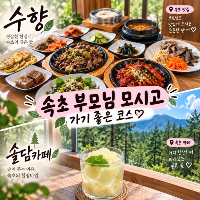 속초 부모님 모시고 가기 좋은 추천맛집｜한정식 수향곤드레 & 숲뷰 솔담카페