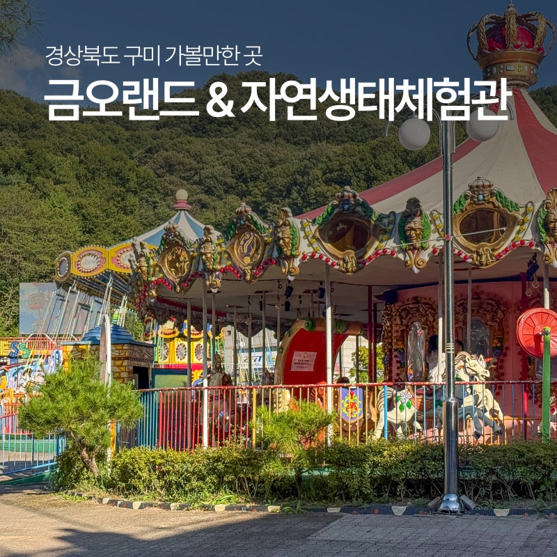 대구 근교 가볼만한 곳, 구미 금오랜드 당일치기 경북 가을 여행지 추천