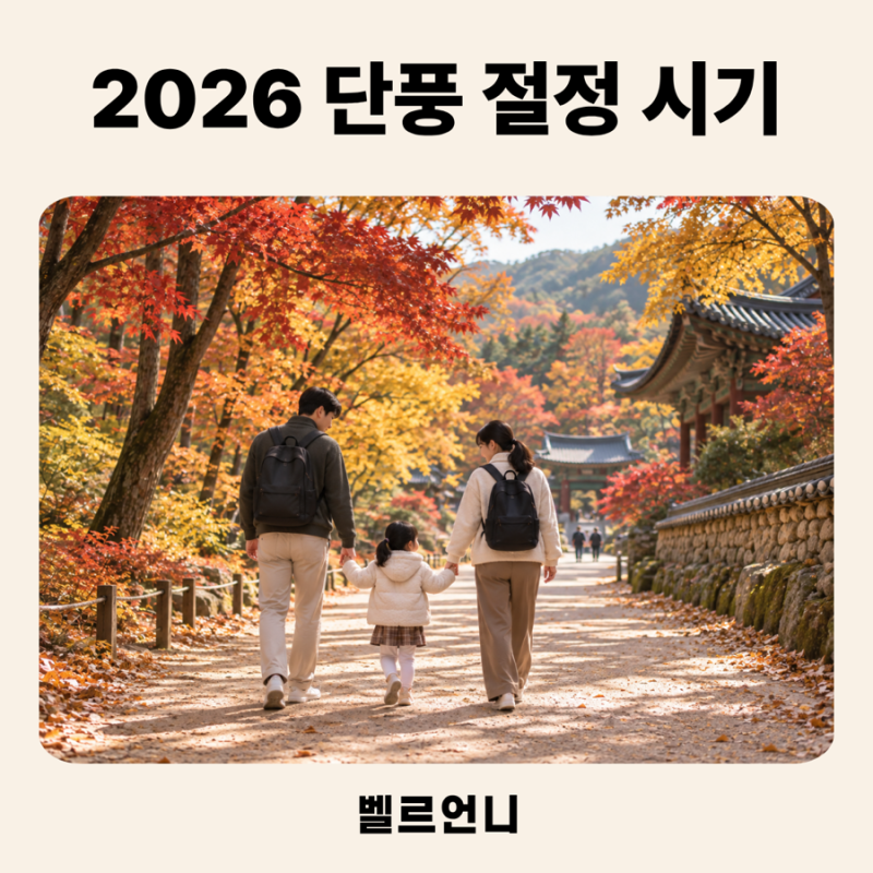 2026 단풍 절정 시기, “산 안 타도 됩니다” 아이와 가기 좋은 지역별 절정 명소