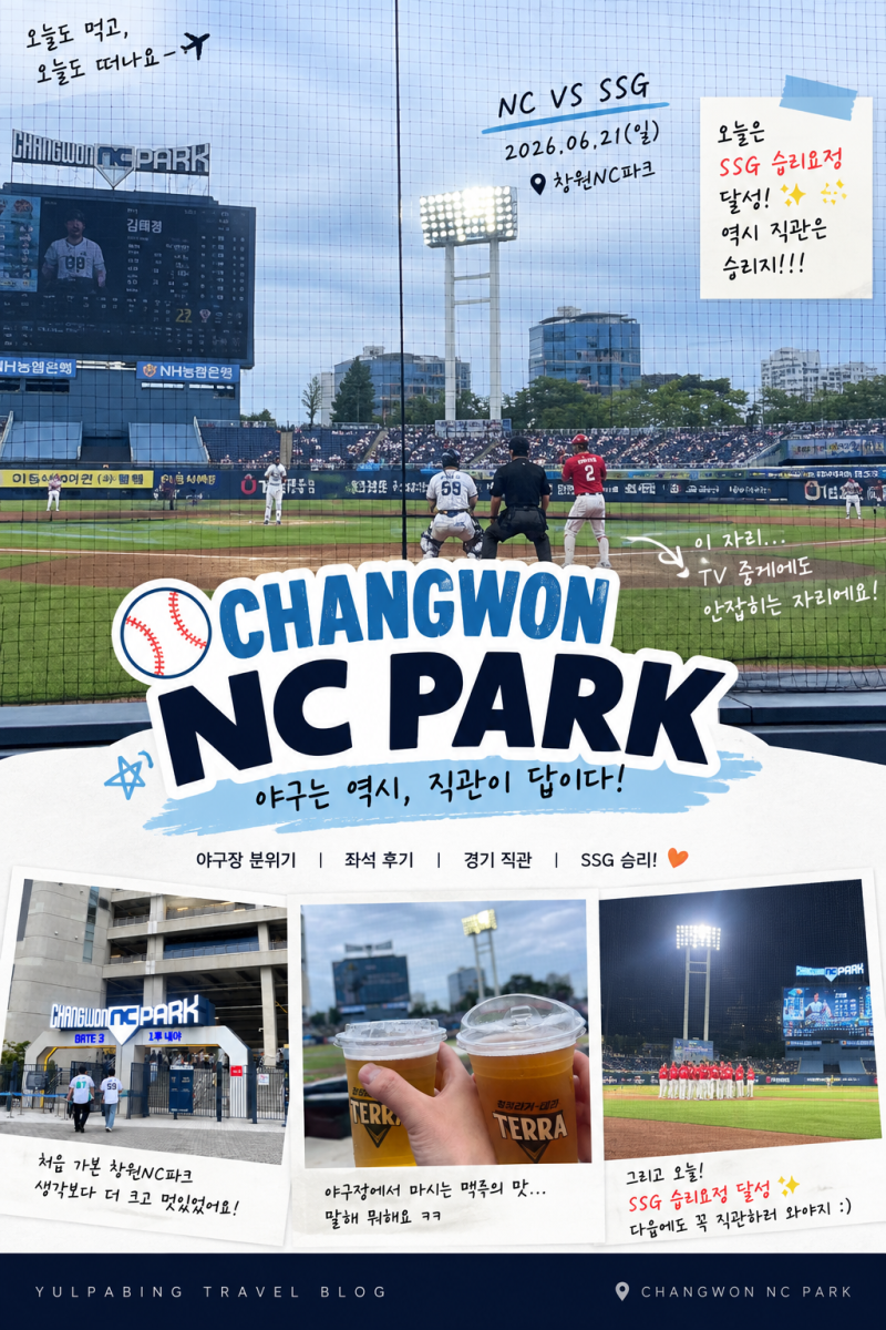 창원NC파크 직관 후기 | 서울에서 4시간 달려간 포수 뒤 프리미엄석 114블록 B열 2번·3번 시야
