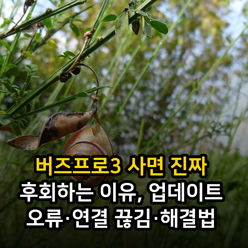 버즈프로3 사면 진짜 후회하는 이유, 업데이트 오류·연결 끊김·해결법
