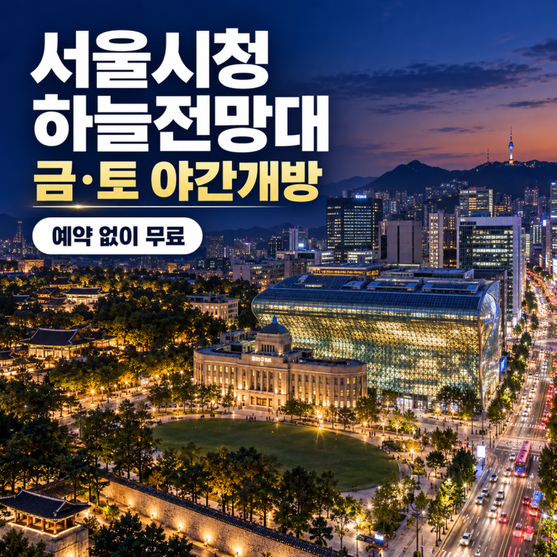 [서울시청 하늘전망대] 예약 없이 밤 10시까지 무료 개방! 덕수궁·세종대로 야경 한눈에 담는....