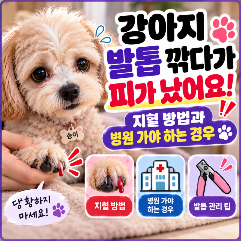 강아지 발톱 깎다가 피가 났어요! 지혈 방법과 병원 가야 하는 경우