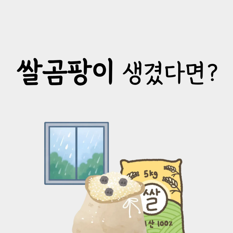 쌀 곰팡이 씻으면 먹어도 괜찮을까?