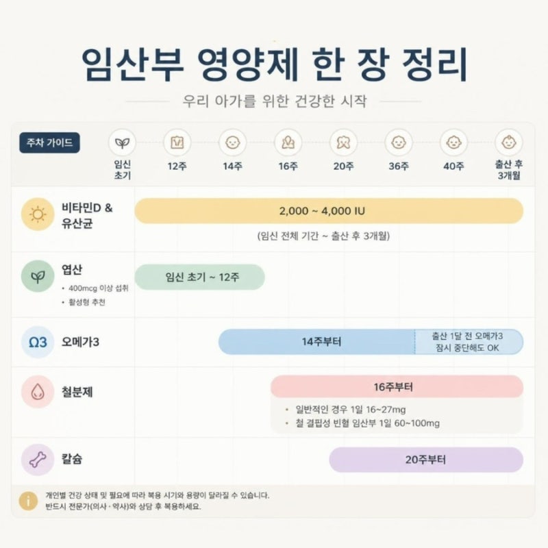 임산부 필수 영양제 주수별 복용 시기 추천 / 철분약, 엽산, 비타민D, 유산균, 오메가3 종류 후....