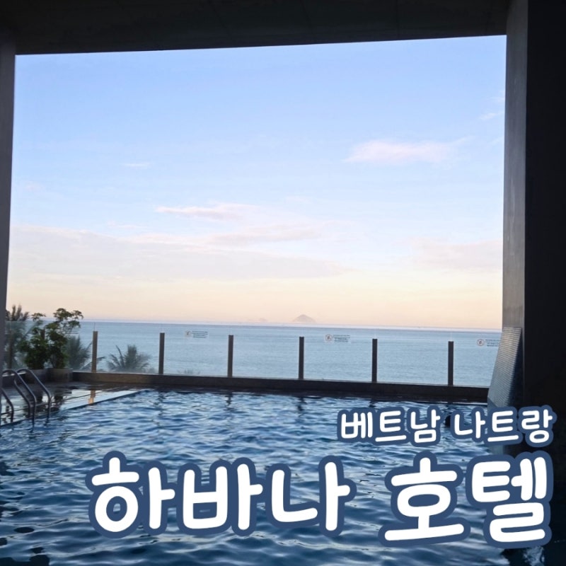 베트남 나트랑 하바나 호텔 가족 단체 숙소 추천 수영장 조식 이용 환전 후기