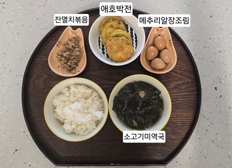 4인가족 저녁메뉴추천 9살 7살 초딩반찬 집밥