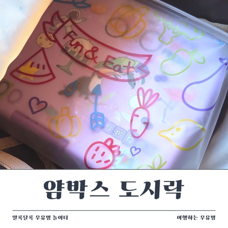유치원 소풍도시락 얌박스, 라지 6칸으로 현장학습 도시락 준비완료!