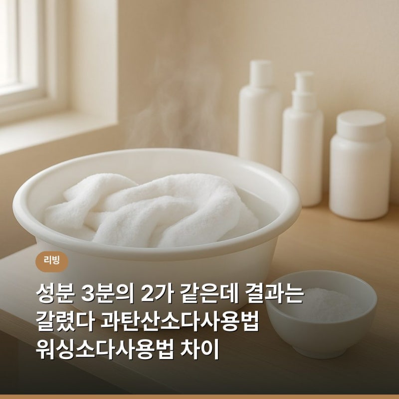 성분 3분의 2가 같은데 결과는 갈렸다 과탄산소다사용법 워싱소다사용법 차이
