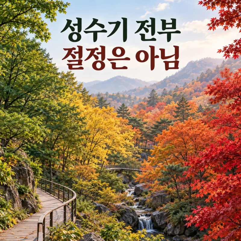 화담숲 단풍 시기, 성수기와 실제 절정은 다릅니다